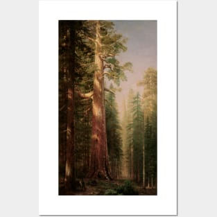 Great Trees, Mariposa Grove, California by Albert Bierstadt Posters and Art